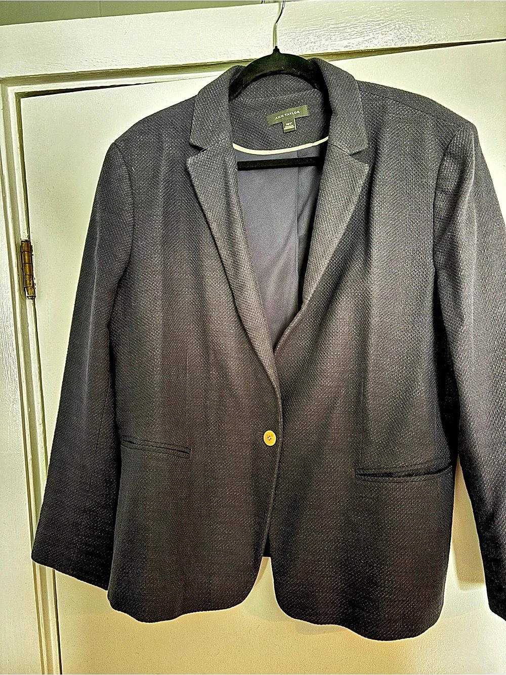 Ann Taylor Navy Blazer Size 18T